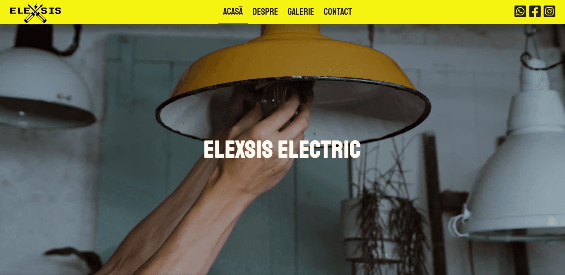 eleXsis company website